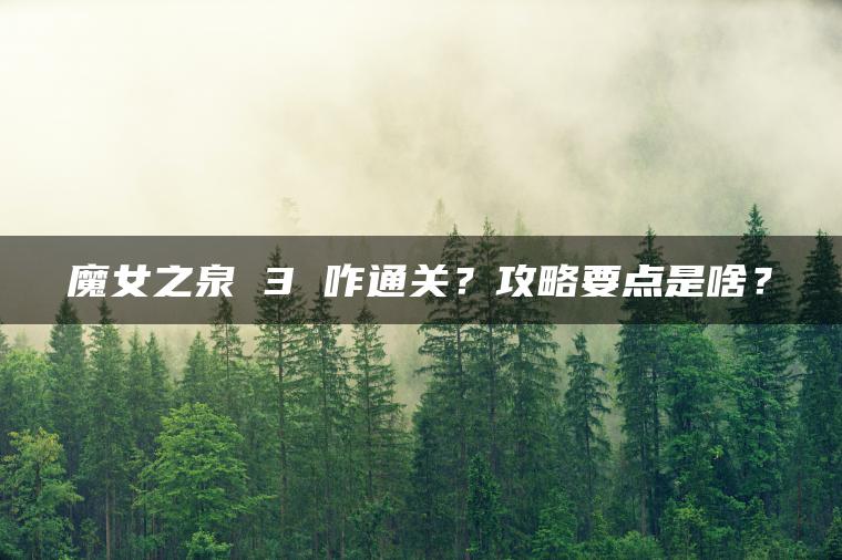 魔女之泉 3 咋通关？攻略要点是啥？