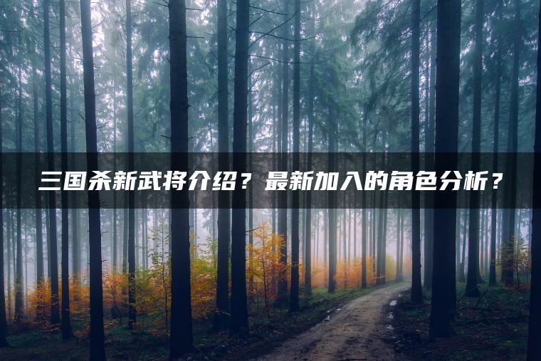 三国杀新武将介绍？最新加入的角色分析？