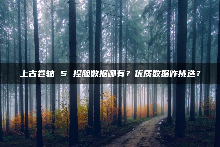 上古卷轴 5 捏脸数据哪有？优质数据咋挑选？