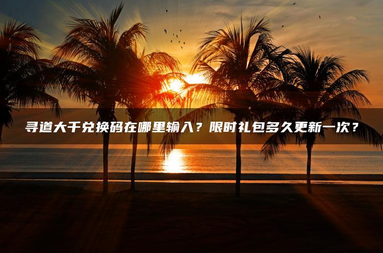 寻道大千兑换码在哪里输入？限时礼包多久更新一次？
