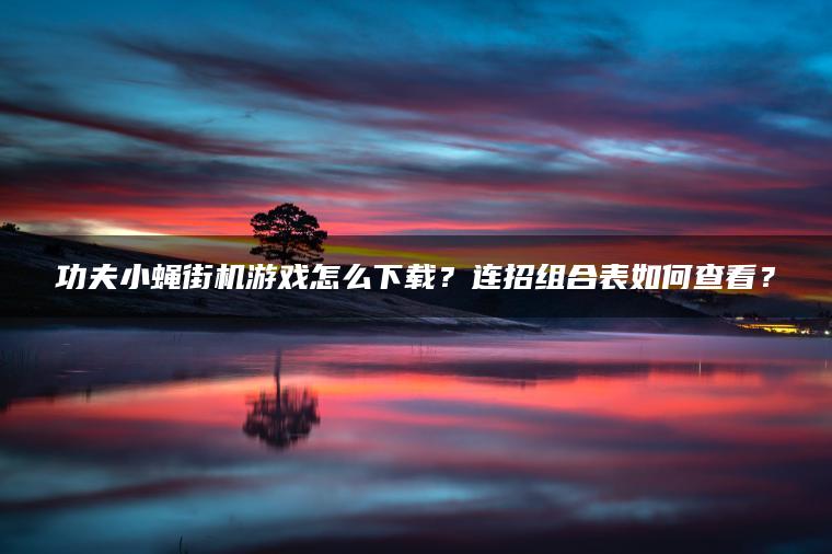 功夫小蝇街机游戏怎么下载？连招组合表如何查看？