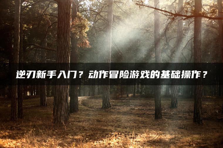 逆刃新手入门？动作冒险游戏的基础操作？