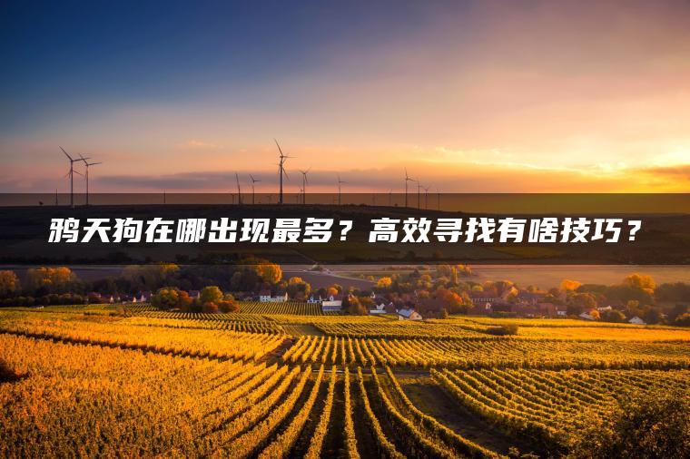 鸦天狗在哪出现最多？高效寻找有啥技巧？